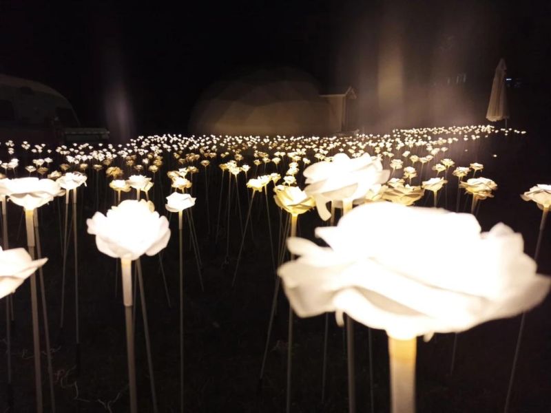 Garden Decoration Wedding Decoraction Holiday Decoraction Artificial Flower Light Rose Light