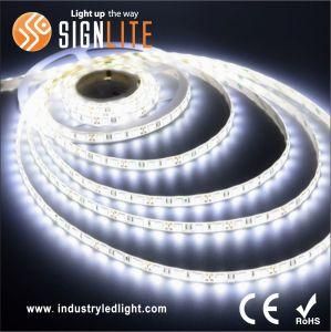 Factory SMD3528 60LEDs/M Flexible LED Strip