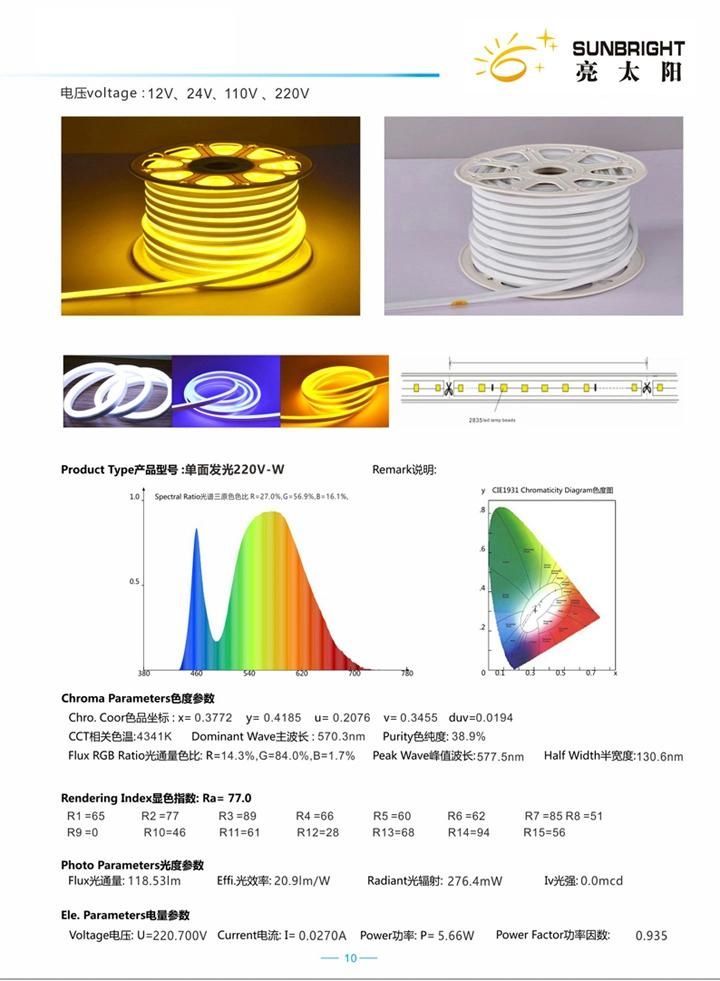 New 2018 SMD 2835 50m Flex LED Neon