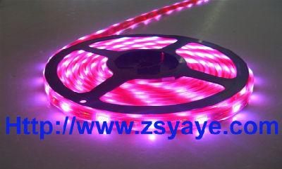 SMD 5050 LED Flexible Strip Light (YAYE-R5050FS30-12V)