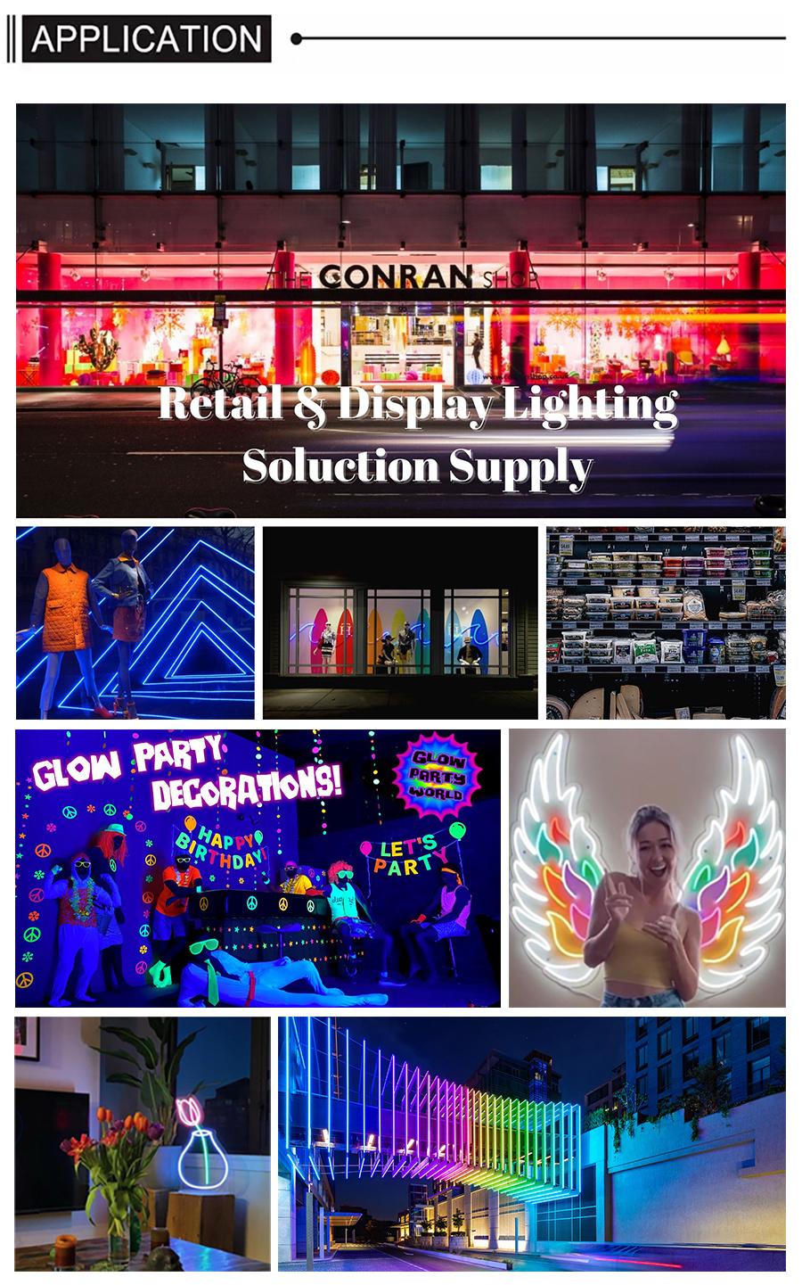 Ceiling LED Neon Strip Light IP65 Lamp Flexible LED Neon Strip Light Rope Flex 12V 24V LED Neon Light