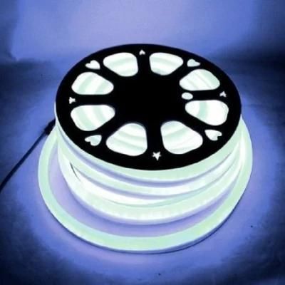 Dots Free High Performance Outdoor LED Neon Flex Light