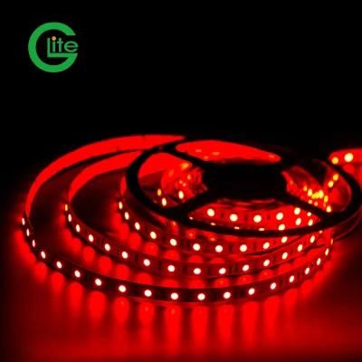 3years Warranty LED Light Strip SMD5050 RGB 60LED 14.4W Ra80 LED Strip DC24 LED Light Strip Strip