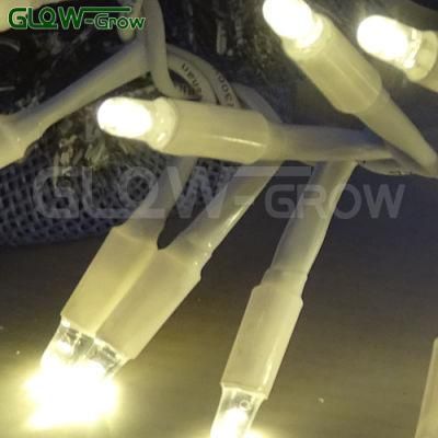 High Voltage IP65 Christmas LED Cluster Cracker String Light for Garden Landscaping Decoration