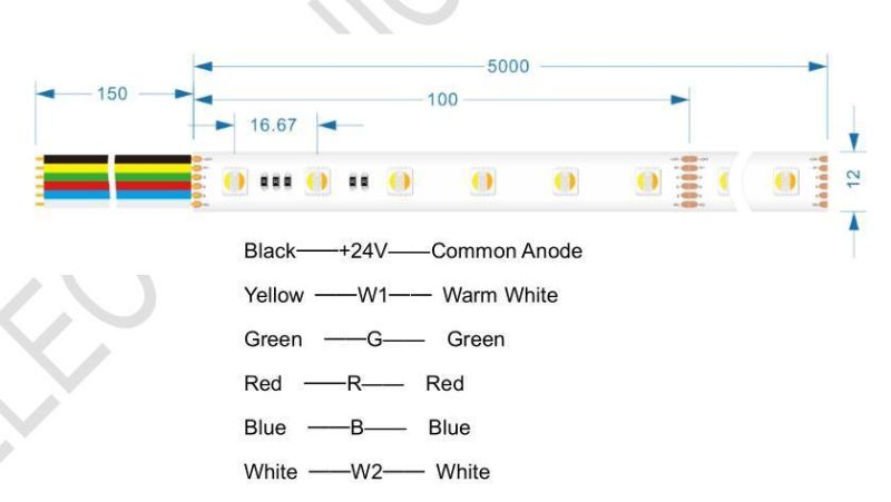 DC24V 5050 60LED/Meter Rgbww LED Tape Light