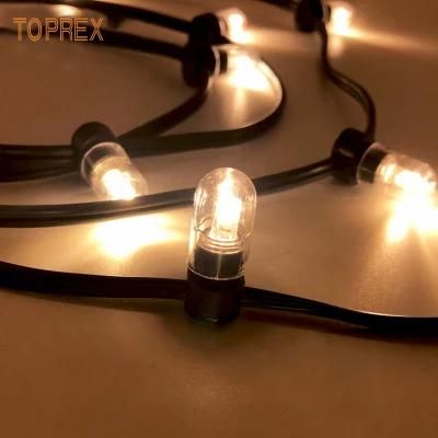 Holiday Lighting LED Fairy Lights IP65 New String Lighting LED Clip Lights for Tree