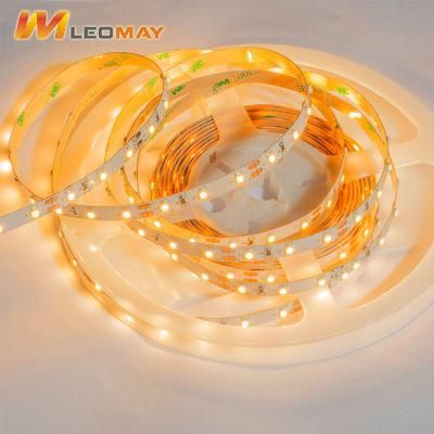 Waterproof SMD3528 DC12V Flexible LED Strip Light for Christmas Decoration