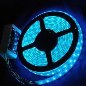 IP65 Sillicon Tube Waterproof 24V Flexible Rope LED Light Strip RGB with Remote