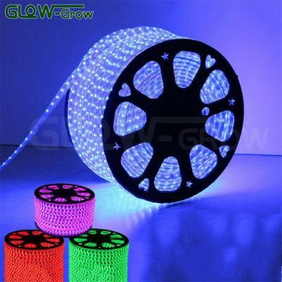 230V 110V High Voltage 100m 8W/M 5050 RGB Sync Flexible LED Strip Light for Project Decoration