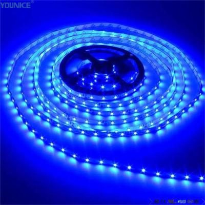 10mm Width 240LEDs/M SMD3528 LED Flexible Tape Strip