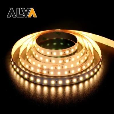 120PCS/M SMD 2835 Flexible Rope Light 12V 24V LED Strip with TUV CE, IEC