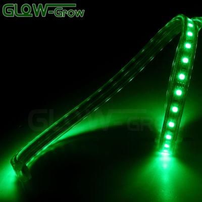 Factory Flexible 5050 RGB LED SMD Strip Lighting for Light Bar