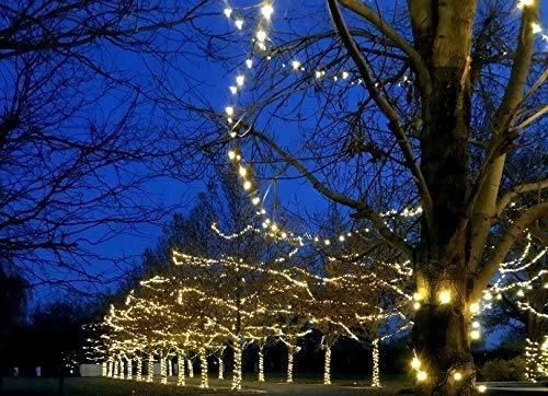 Waterproof Outdoor Christmas Mini String T5mm String Light