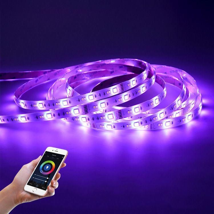 12V 24V SMD5050 60LED RGB RGBW Dimming Smart Controlled LED Flexible Strip Light