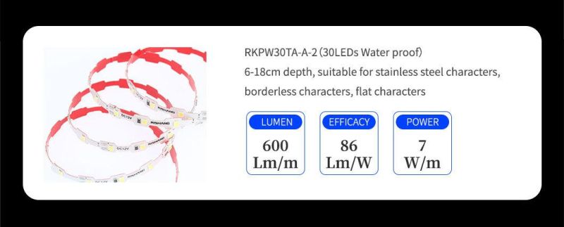 High Efficiency Waterproof IP65 100m/Reel 3D LED Flexible Light Strip