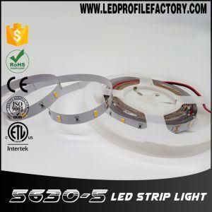 12V LED Strip, LED Flexible Strip Light, LG Backlight LED Strip