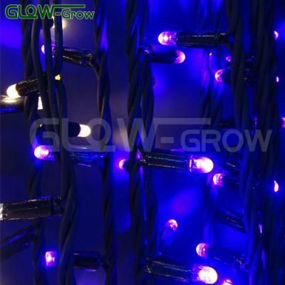 2.0m*1.5m Black Rubber Cable IP65 Waterproof White Flash LED Curtain Light for Outdoor Decor