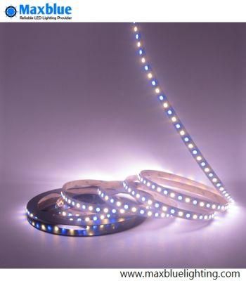 24VDC 96ledsm RGB Warm White 5050 LED Strip