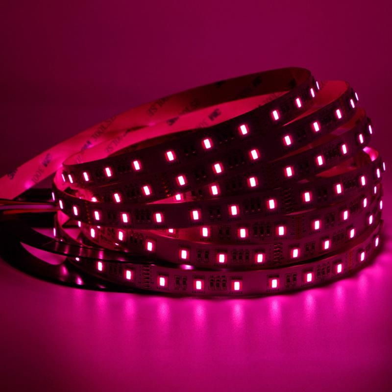 New Arrival Rgbww DC12V DC24V Full Color SMD 5050 RGB CCT 5 Colors in 1 LED Strip Lights