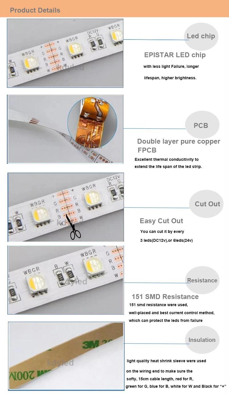 CE SMD 5050 RGBW Rgbww 5m Flexible IP65 Waterproof LED Rope Lamp Set 300 Heat Resistant LED Strip Lights Set Kit