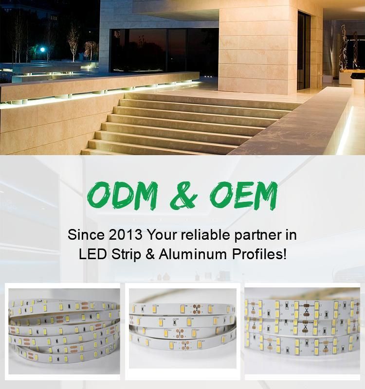 Shenzhen Factory Provide Waterproof Sam-Sung SMD 5630 LED Strip