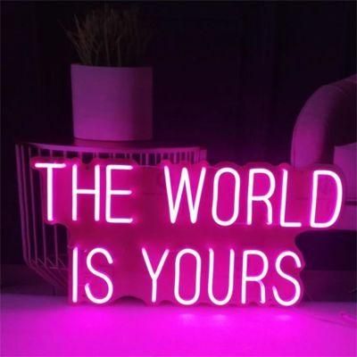 Drop Shipping Custom LED Neon Light Letters The World Is Yours Neon Sign