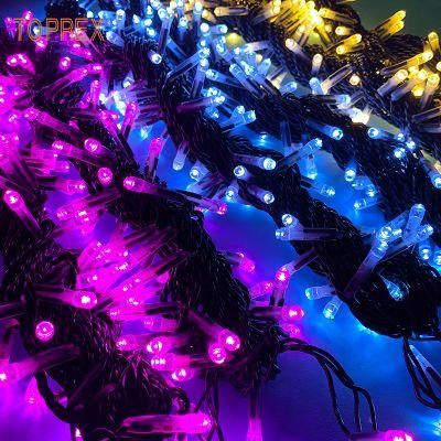 Indoor Christmas Decoration High Brightness Connectable LED String Lighting