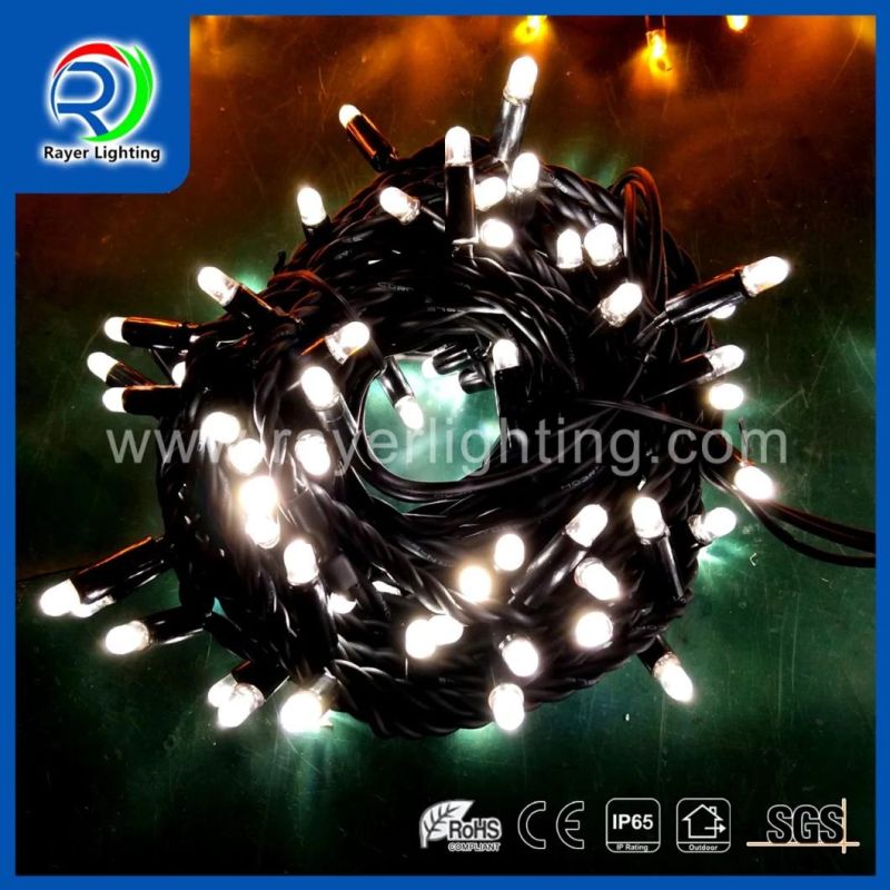 Festival Lights Christmas Light Fairy Light LED String Light