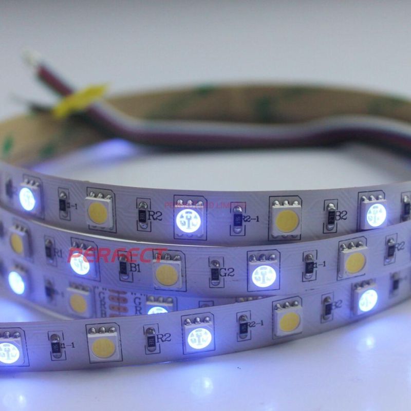 CE&RoHS Certificated LED Strip RGB+CCT LED Flexible Strip Light 12V/24V LED Linear Lighting