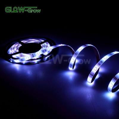 UL Listed 5050 12V Dimmable RGB LED Strip Light for Indoor Lighting