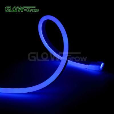 120V IP65 Professional Supplier RGB Sync Single Side LED Neon Flex Light for Holiday Decoration