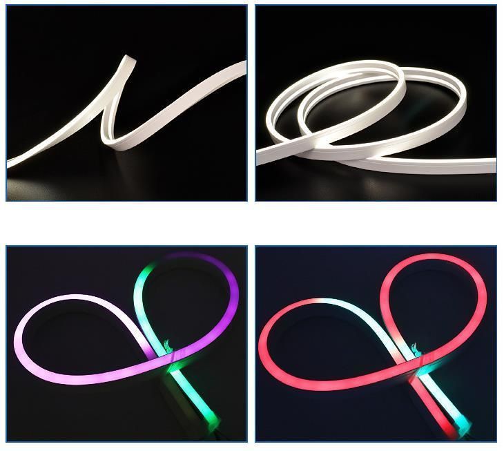 Wholesale Outdoor IP65 IP68 Flexible SMD 2835 RGB with Remoter Waterproof Neon Flex LED Strip Light