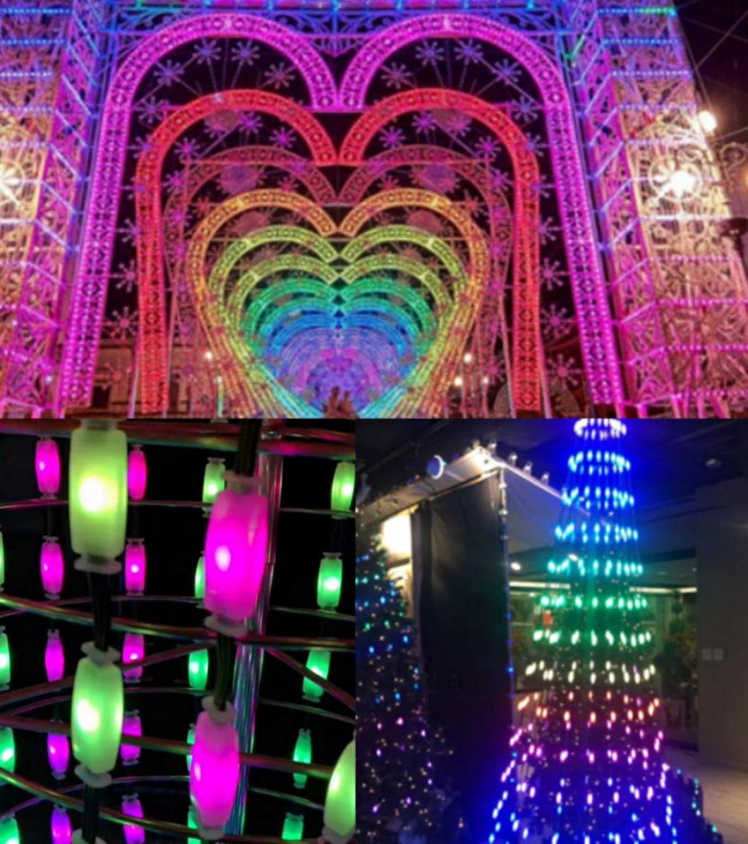 High Quality IP66 Waterproof Color Change RGB Pixel Light for Festivial Decoration