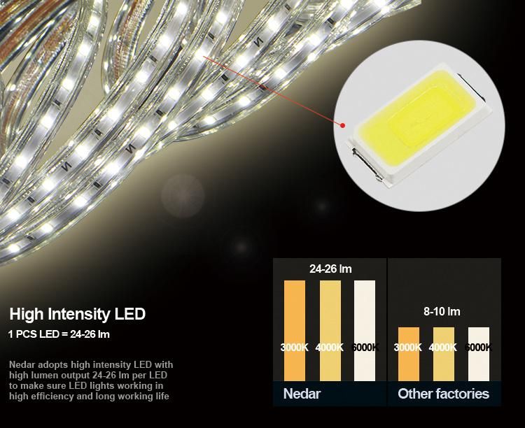 Decorative Light LED Strip Light LED Rope Light LED String SMD 2835 Waterproof IP65 Ce RoHS Cert