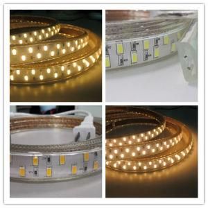 Super Brightness Waterproof LED Strips Flexible with ETL Ce RoHS