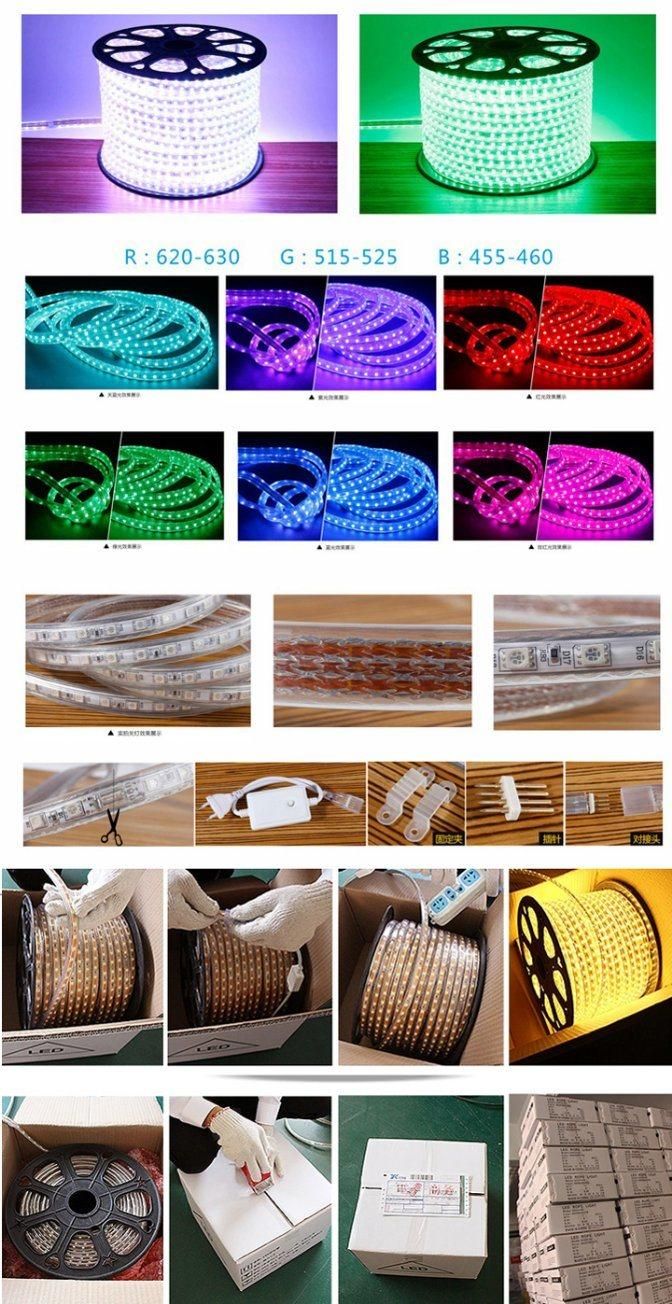 DC12V/24V Flexible Christmas LED Strip Lighting