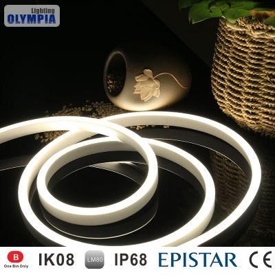 LED Neon Flex Rope Light for Outdoor Using