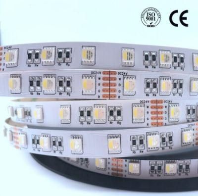 Top Sale Flexible LED Strip Light/ SMD LED Strip Dimmable RGBW with Ce &amp; RoHS Approval