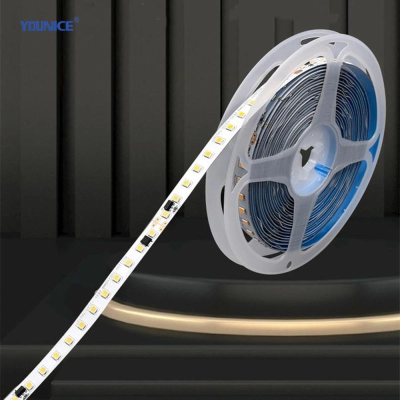 Factory Wholesale 220V High Voltage IP65 Waterproof LED Flexible Strip Light