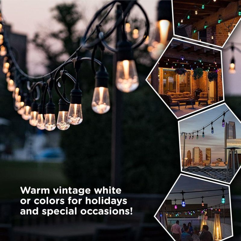 LED Warm White & Color Changing Cafe String Lights with Oil-Rubbed Bronze Lens Shade