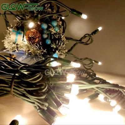 IP65 Backyard Green Cable LED Fairy String Lights for Party, Wedding, Home, Window, Bathroom, Festival, Holiday, Shows, Restaurant, Hotel Decortion