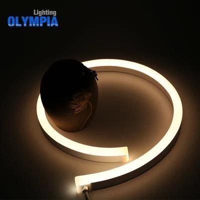 Swimming Pool Waterproof Programmable LED Light Strip Wholesale