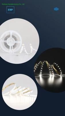 One-Bin Supply RoHS CE UL CRI90 3000K 12V Flexible LED Light Strip for Shopping Mall Decorative Lighting ERP
