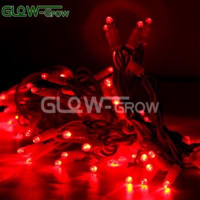 Rubber Cable LED Continuous Strand Red String Fairy Lights for Wedding Garden Party Xmas Light Decoration