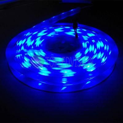 Ce, IEC/En62471 Approved 60LEDs/M SMD5050 RGB Flexible LED Strip Light