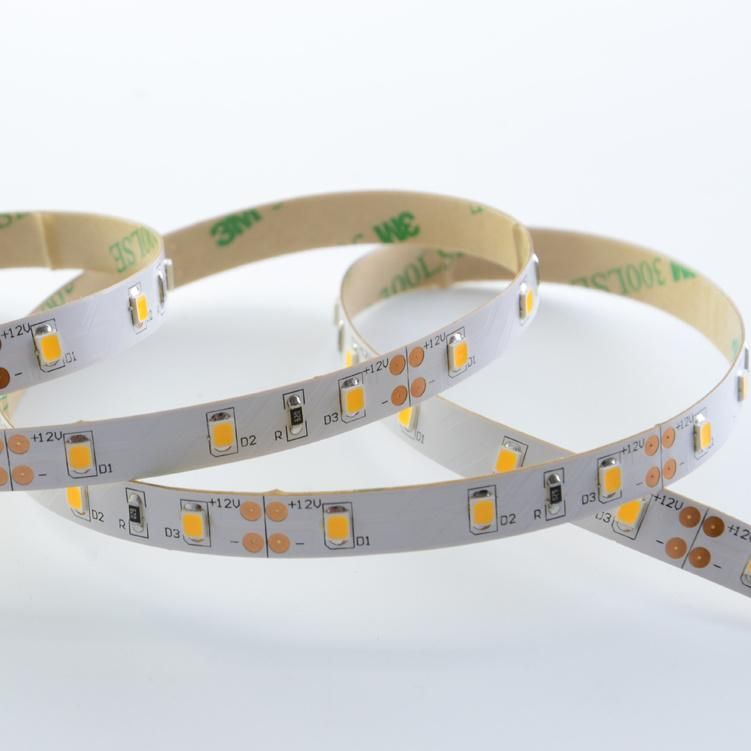 One Bin Flexible 12V/24V 60LED/M SMD 2835 LED Strip Light Tape