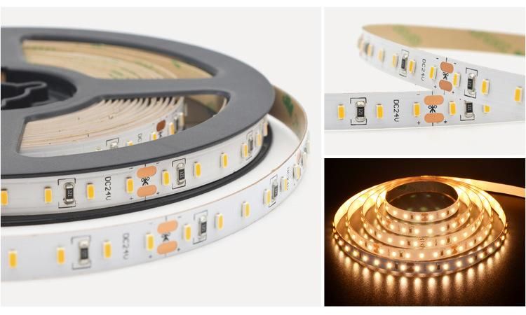 Hot Selling 280LED 8mm Width SMD2216 Strip CCT flexible LED Strip