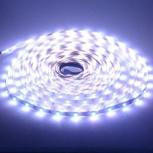 2835 LED/ Meter LED Strip Light with High Brightness 14.4W Letter Panel SMD LED Decoration Light