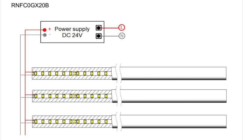 Beam Angle 270 Degrees 20mm Diameter DC12V/DC24V 2835 Flex Neon LED Strip