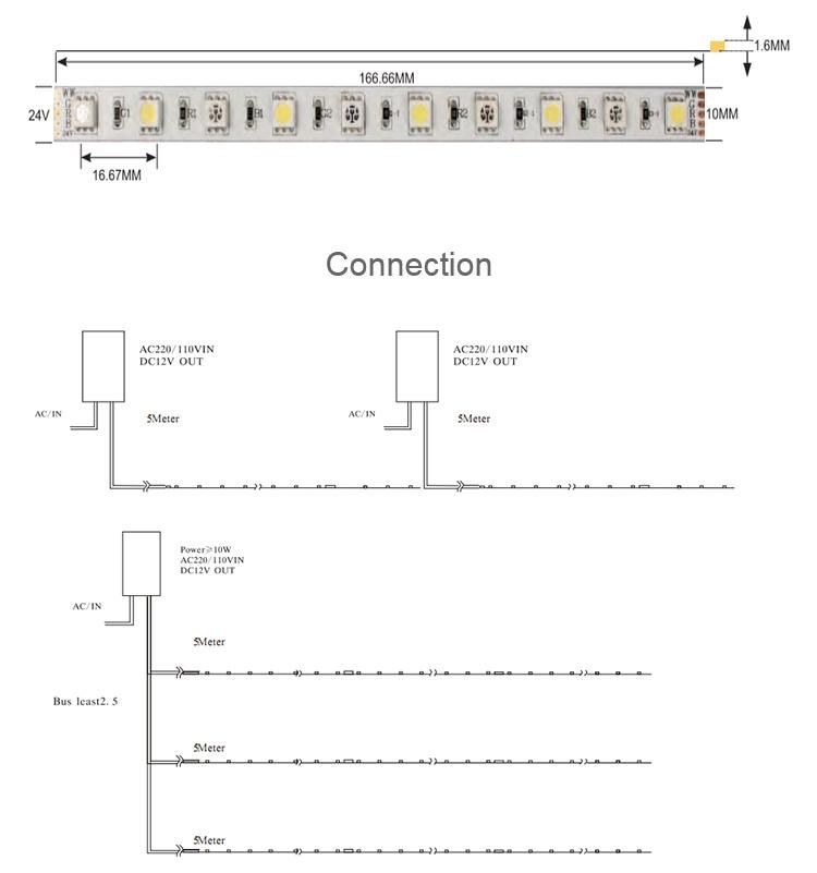 CE&RoHS Certificated LED Strip RGB+CCT LED Flexible Strip Light 12V/24V LED Linear Lighting